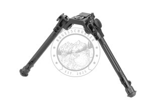 Leapers Over Bore Zweibein